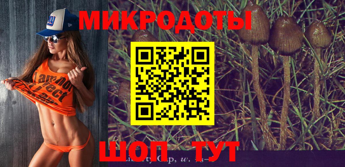 Ивантеевка  Галлюциногенные грибы MAGIC MUSHROOMS  Вход с VPN 