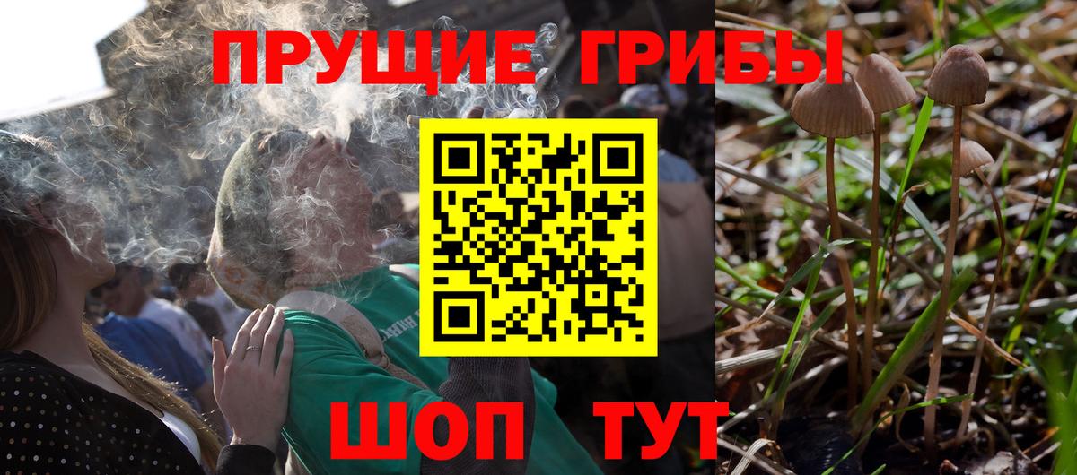 Галлюциногенные грибы мицелий Ивантеевка